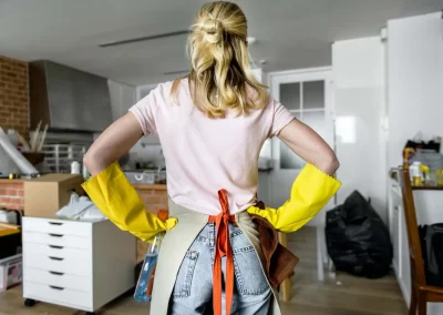 Professional House Cleaning